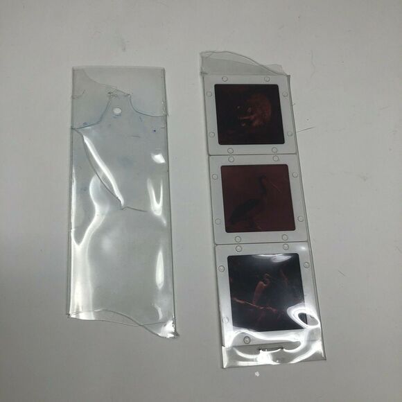 Vintage Walt Disney World Powers of the Everglades Epcot Center Pana-Vue Slides - Picture 7 of 7